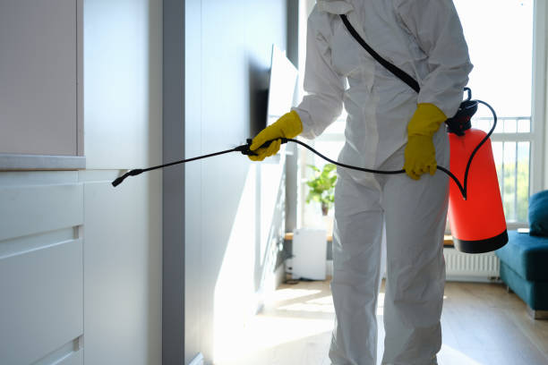 Best Basement Mold Removal  in Milford, IN