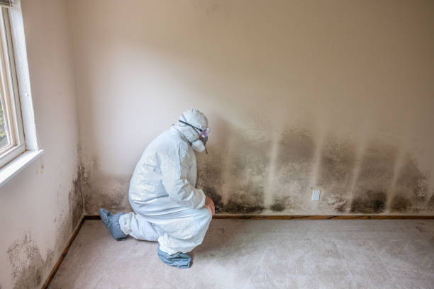Best Crawl Space Mold Remediation  in Milford, IN